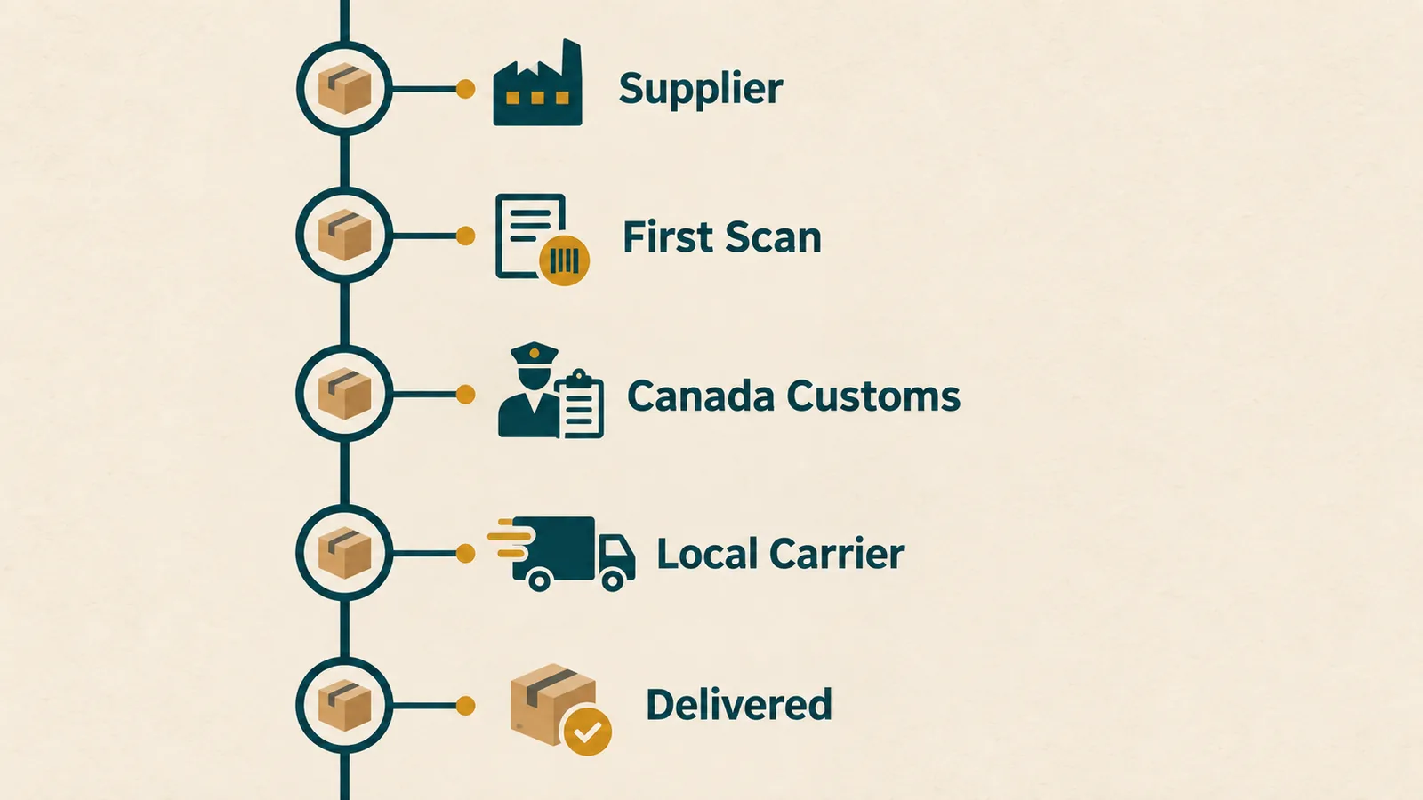 Parcel timeline showing supplier release, first scan, customs, local handoff, and delivery